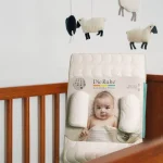 تشک آنتی رفلاکس دیروحه Die Ruhe