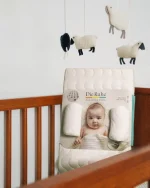 تشک آنتی رفلاکس دیروحه Die Ruhe